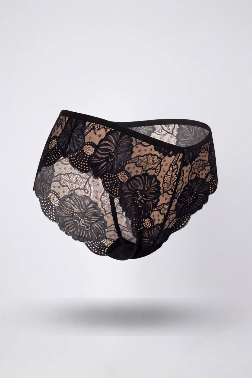 Floral lace sheer brief in black