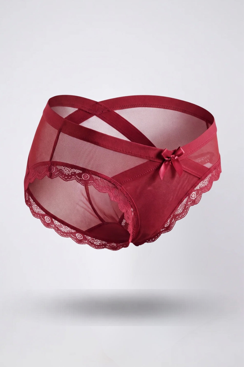 Sheer mesh lace brief in burgundy